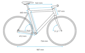 50 cm