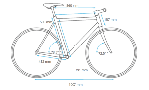 56 cm