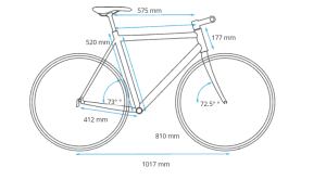 58 cm