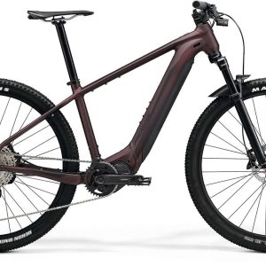 merida ebig.nine 700 ep2